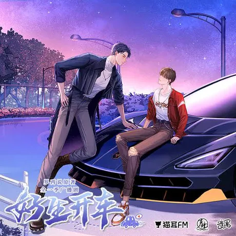 Novel Banner