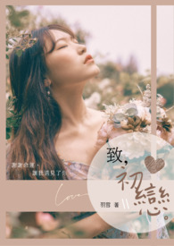 Novel Banner