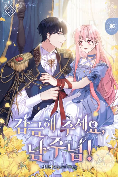 Novel Banner