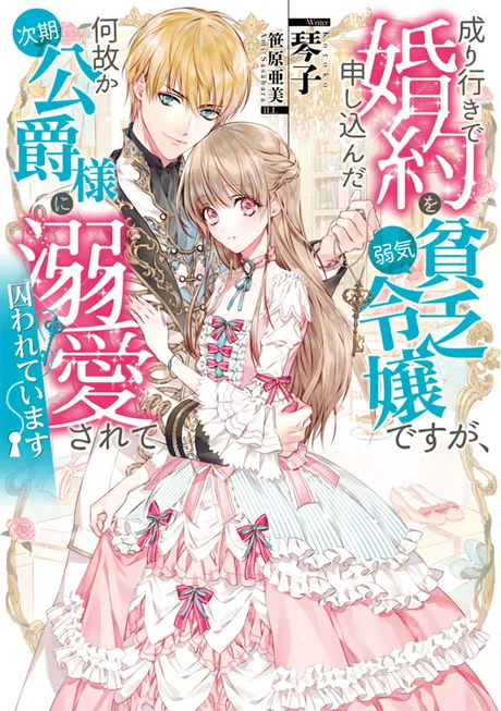 Novel Banner