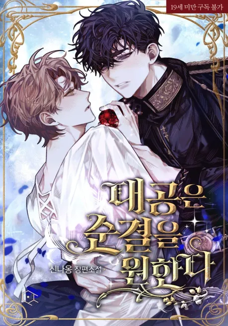 Novel Banner