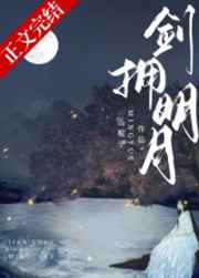 Novel Banner