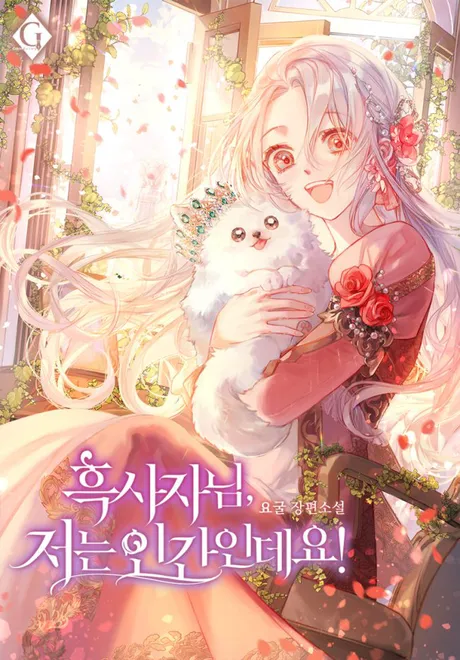 Novel Banner