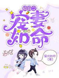 Novel Banner