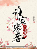 Novel Banner