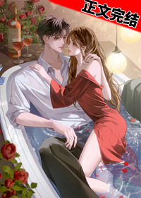 Novel Banner