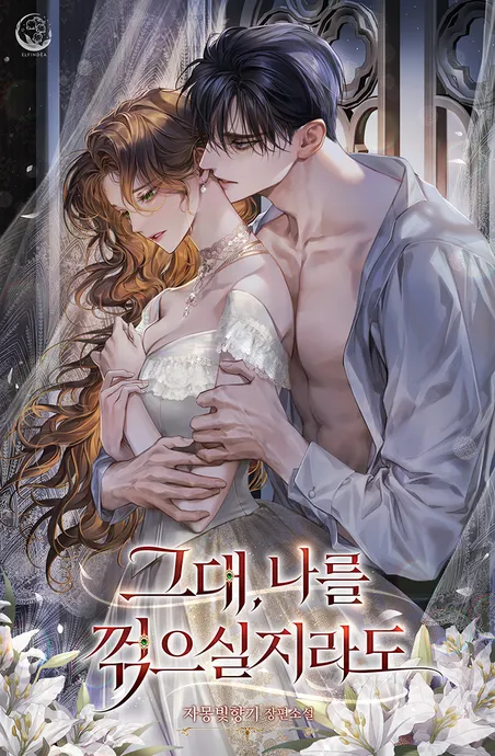 Novel Banner