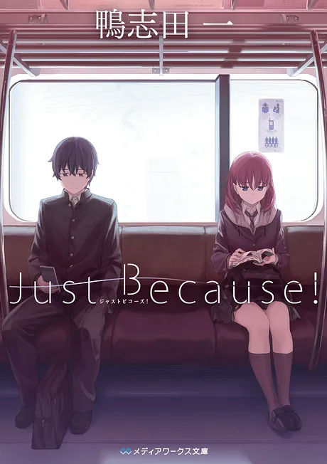 Novel Banner