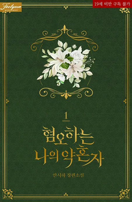 Novel Banner