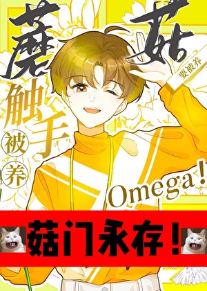 Novel Banner