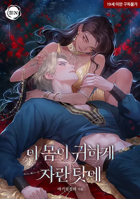 Novel Banner