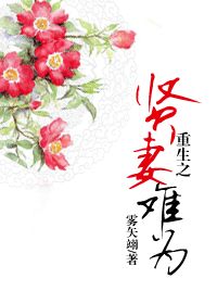 Rebirth Of A Virtuous Wife
