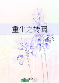 Rebirth Turn