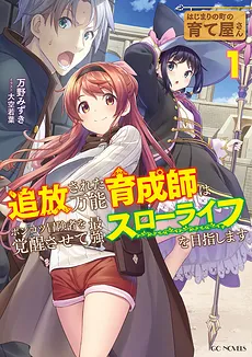 Adventurer’s Trainer for the Adventurer with Hidden Gifted in Beginners Town