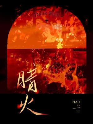Dark Fire