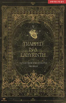 Trapped in a Labyrinth