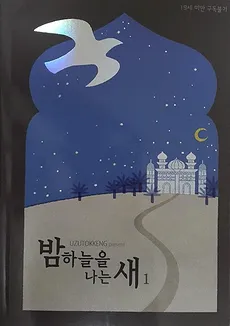 A Bird Flying in the Night Sky