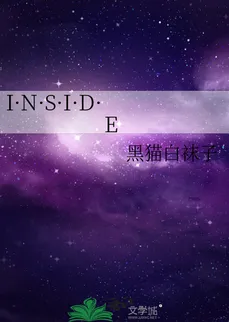 I·N·S·I·D·E