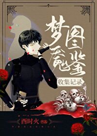 Nightmare Illustration Collection Record