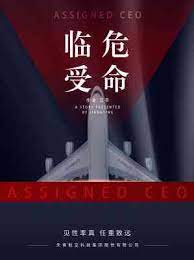 Assigned CEO