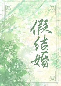 Fake Marriage [Entertainment Industry]