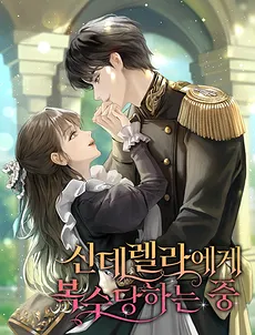 Getting Revenge From Cinderella