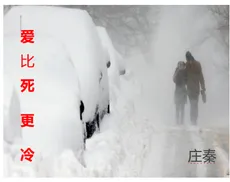 Love Is Colder Than Death