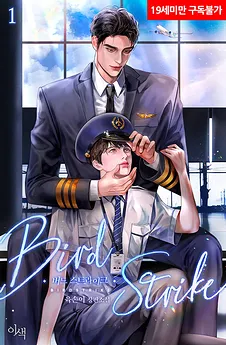 Bird Strike