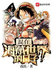 Daily Life in One Piece