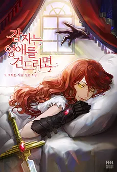 If You Disturb The Sleeping Lady