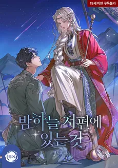 Something Beyond the Night Sky