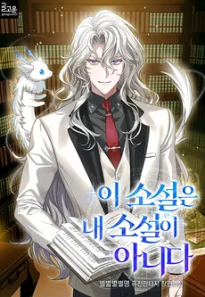 This Novel is not my Novel