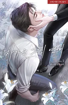 Cold City Romance