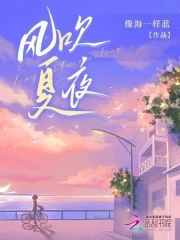Summer Night Breeze