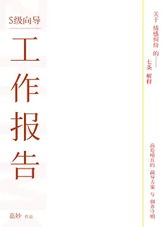 S-Level Guide Work Report