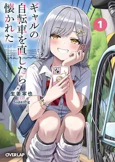 I Fixed a Gyaru’s Bicycle and She Became Attached to Me (LN)