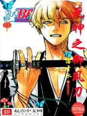 Bleach: Shinigami’s Wind Blade